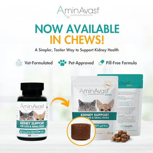 300mg Kidney Support for Cats & Small Dogs, 60 Sprinkle Capsules - view 4