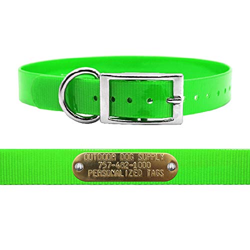 Heavy Duty Waterproof D-Ring Dog Collar w Custom Name Tag, Lime Green 21"