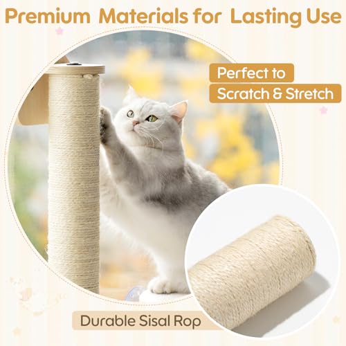 Cat Window Perch with Steps Cat Scratching Sturdy for Climbing, 3pcs - view 3