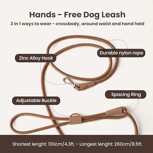 3-in-1 No Pull Dog Harness & Leash Set, Small Size Dog - view 6