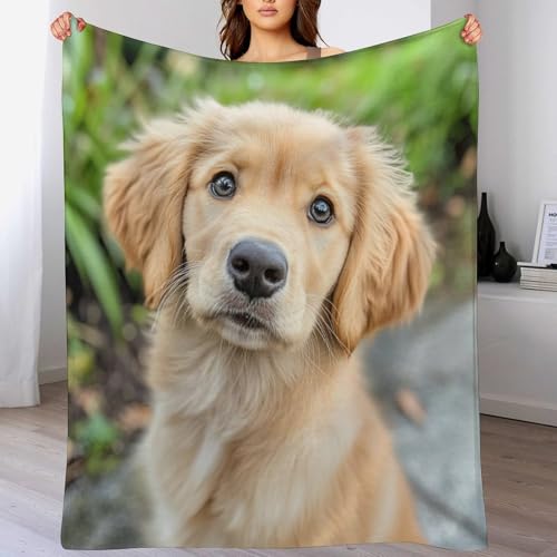 Soft Blankets and Throws for Sofa Golden Retriever Puppy Dog Ultra Soft Bedspread Microfiber Blanket Pet Memorial Gifts Blanket 55"x70" for Couch Sofa Bed Office for Girls Birthday Valentines Gift - view 4