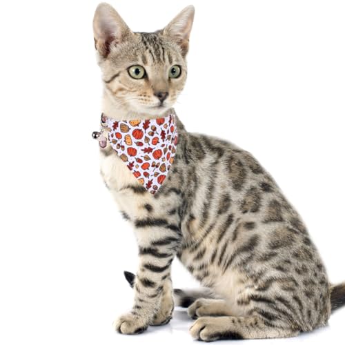 Thanksgiving Day Cat Collar Fall Breakaway with Bandana and Bell Autumn - view 4