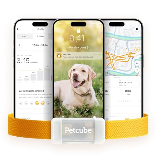GPS Tracker for Dogs – Real-Time GPS Tracking & Escape Alerts
