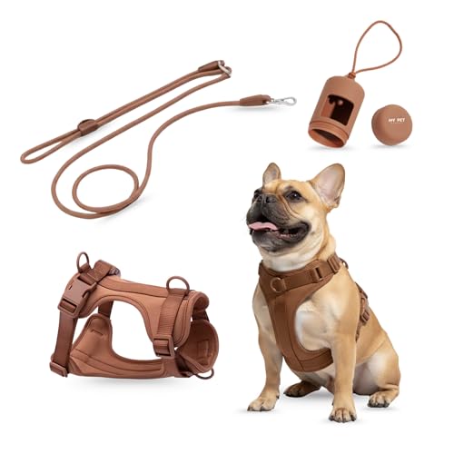 3-in-1 No Pull Dog Harness & Leash Set, Small Size Dog