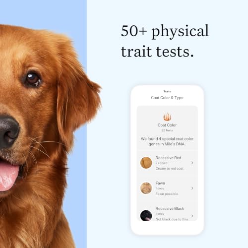 Panel Essential Dog DNA Test, 430+ Breeds, 30 Health Tests, 2 Pack - view 6