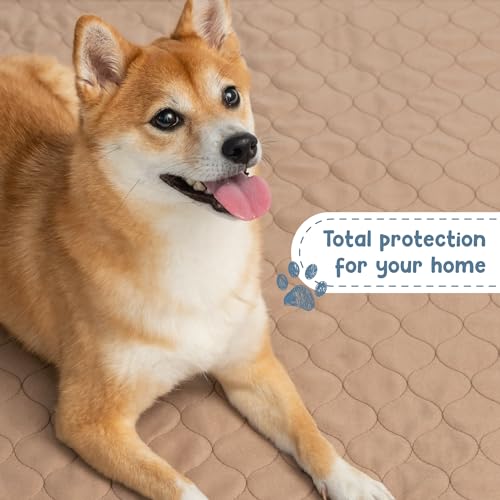 Reusable Dog Pee Pad, Washable Waterproof Round 48 in Mat, 1 Pack - view 5