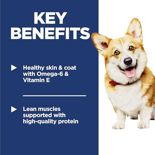 Adult 1-6 Small Bites Dry Dog Food - view 4