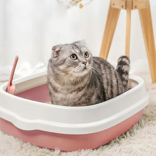 Kitten Starter Kit - 16 Pcs Cat Essentials Set Includes Litter Box - view 3