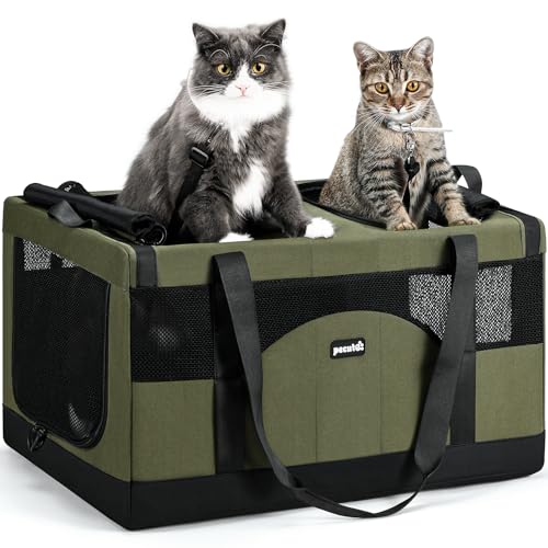 Large Cat Carrier, Soft Double Pet Crate for 2 Cats Travel, Green