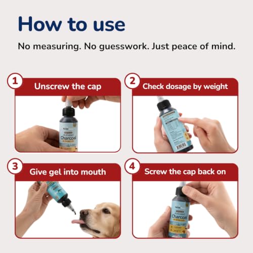 Activated Charcoal for Dogs, Cats & Puppies – Emergency Pet First Aid Gel for Accidental Ingestion, Beef-Flavored Digestive Paste, Veterinarian-Developed, Made in USA, 60 mL - view 6