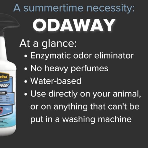 Odaway Ready-to-Use Odor Eliminator Spray – Broad Spectrum Scent Neutralizer for Home, Kennel, Car, Bathroom & Gear, Concentrate Gallon - view 2