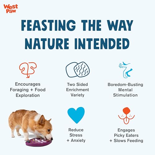 Seaflex Waves Feast Mat – All-in-One, Slow Feeder, Lick Mat – Encourages Foraging & Food Exploration - Engages Picky Eaters & Slow Feeding - Versatile – Easy to Clean, Non-Toxic - Mint - view 3
