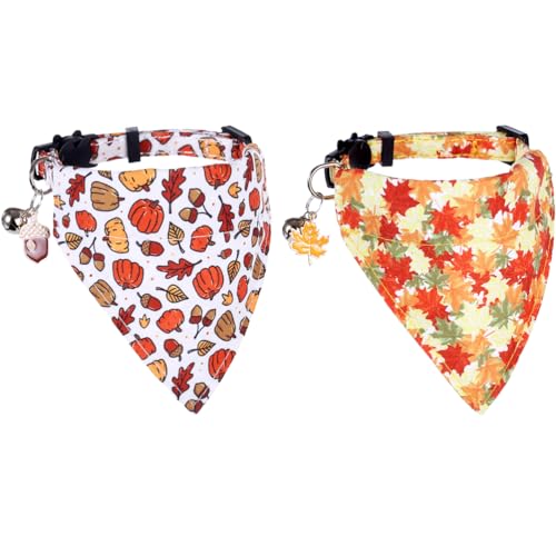 Thanksgiving Day Cat Collar Fall Breakaway with Bandana and Bell Autumn