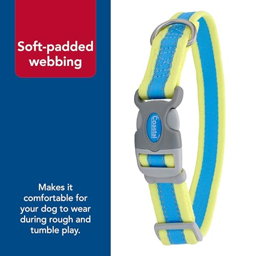 Pet Pro Adjustable Dog Collar, Aqua with Neon Yellow, 1" x 14 20" - view 5