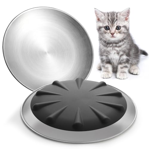 Stainless Steel Cat Dishes, Nonslip Cat Food Bowl Set, Cats Bowls or Plates