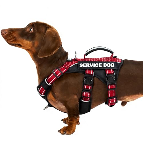 Escape Proof Dog Harness, Service Dog Vest Harness with 6 Patches, No-Pull, Reflective Harness with Handle, Adjustable for Small to Large Dogs, for Training and Hiking (Red, S)