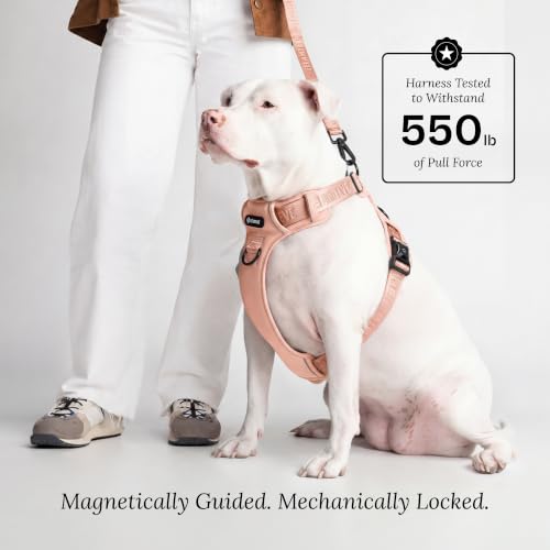 Fei & Eve Cloud Dog Harness, No Pull Dog Vest with Magnetic Buckles - view 5