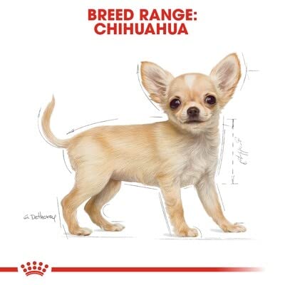Chihuahua Puppy Dry Dog Food, 2.5 lb Bag - view 4