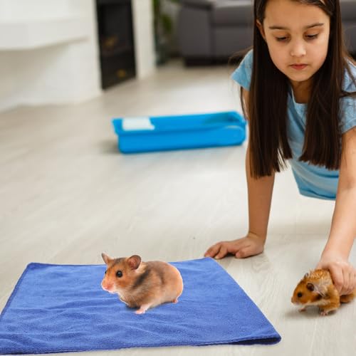 5Pcs Guinea Pig Blanket with Rotation Microfiber Blue Bedding - view 6