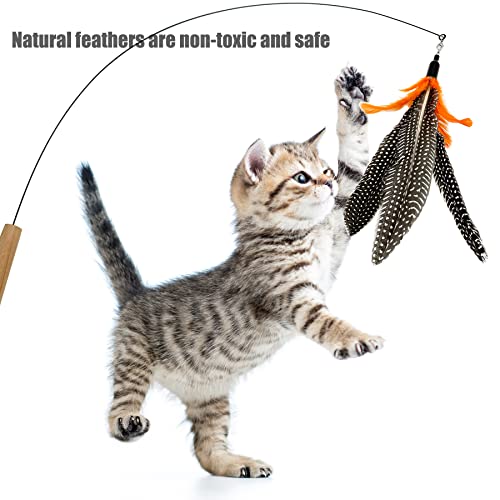 Cat Feather Toys Refill, 6 Pieces Cat Wand Attachments Da Bird Feathers Toy for Indoor Cats - view 2