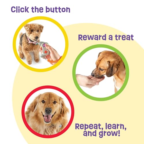 Gamepad Training Clicker - view 3