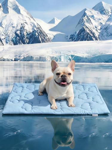Dog Cooling Mat,Dual-Sided Cooling Mat for Dogs Cloud Blue