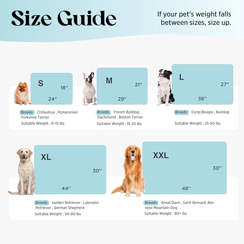 ApexCloud QMAX>0.5 Breathable Dog Cooling Mat for Large Dog,36x27 - view 6