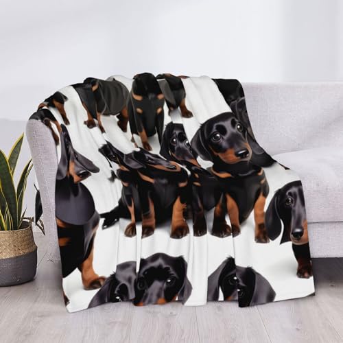 Dachshund Weiner Pet Dogluxury Bed Blanket,Fuzzy Soft Flannel Blanket, Microfiber (40x30 Inches),Thick and Warm - view 4
