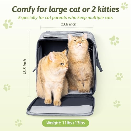 Large Cat Carrier for 2 Cats, 21.7X 13.8X 13.8in Pet Carrier for Cat and Dog Up to 38lbs, All-Sided Mesh Cat Carriers with Great Ventilation, Portable Soft Sided Pet Carriers for Traveling - view 5