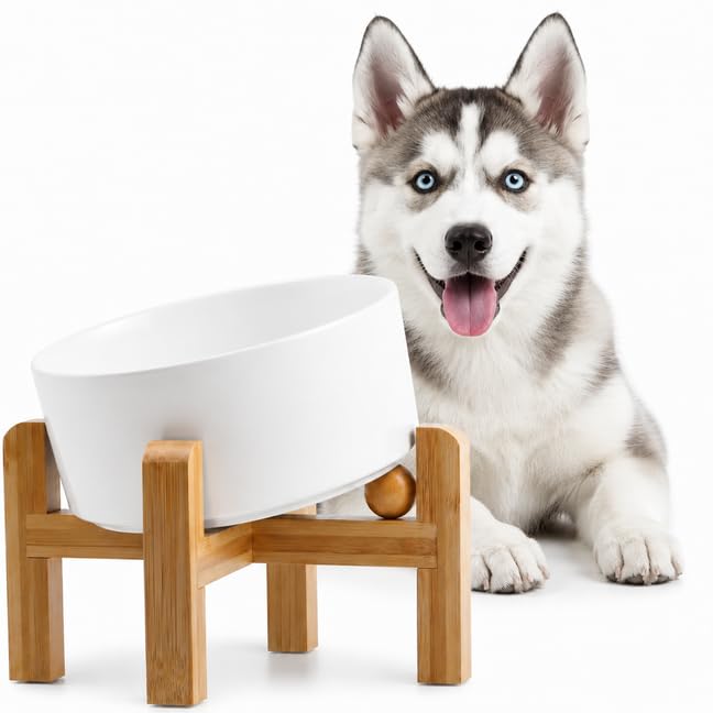 Elevated Ceramic Dog Bowl 15°Slanted Raised Dog Bowl with Bamboo Stand for Small Medium Dogs and Cats, Pet Feeder -3.6-Cup (850ml)-White