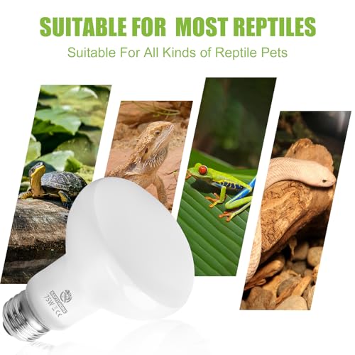 Reptile Heat Lamp Bulbs, Simulate Natural Sunlight Heat Light Bulb, 2 Pack 75W Amphibian Terrarium Basking Spot Lamp for Reptile, Bearded Dragon, Lizard, Turtle, Snake - view 6