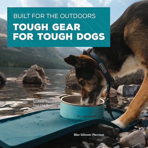 Silicone Pet Placemat Made with 100% Food-Grade Silicone Cone, BPA, PVC, and Phthalate-Free. Non-tocix, Dishwasher Safe Feeding mat for Bowls with Spill Catcher and Raised Mountain Logo - view 4