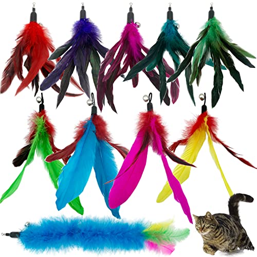 Cat Feather Toys Refills, 10 Pieces Cat Wand Replacement Feathers Toy for Indoor Cats