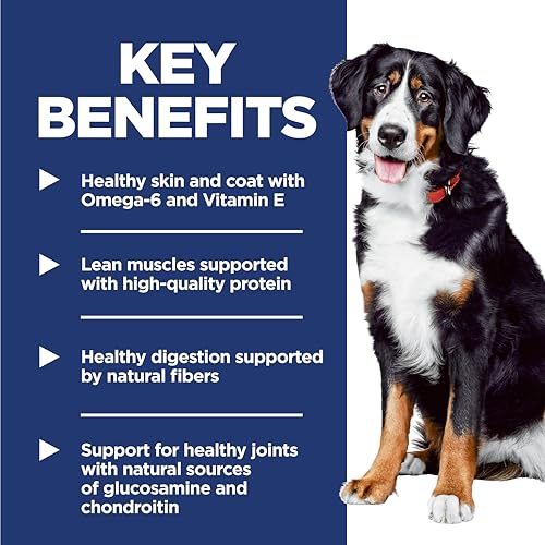 Large Breed Dry Dog Food - view 4