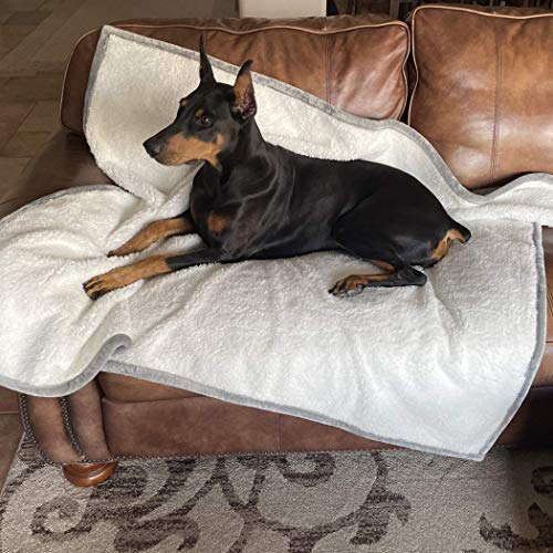Plush Reversible Waterproof Dog Blanket – Soft Sherpa & Microfiber Pet Throw – Durable Couch, Bed, or Crate Protector for Dogs – Machine Washable Pet Cover – 60x48 Inch – Grey Color