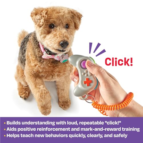 Gamepad Training Clicker - view 2