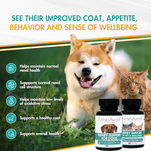 300mg Kidney Support for Cats & Small Dogs, 60 Sprinkle Capsules - view 2