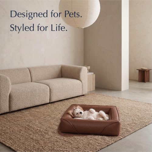 Orthopedic Small Dog Bed, Modern Pet Bed with Reversible Cushion - view 3