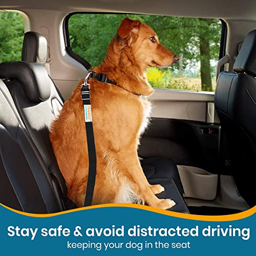 2-Pack Dog Seat Belts for Cars - Adjustable Nylon Car Harness with Stainless Hooks, Safety Seatbelt Harnesses for Dogs, Durable Dog Car Seat Belt Clip, Essential Travel Accessories for Pets - view 5