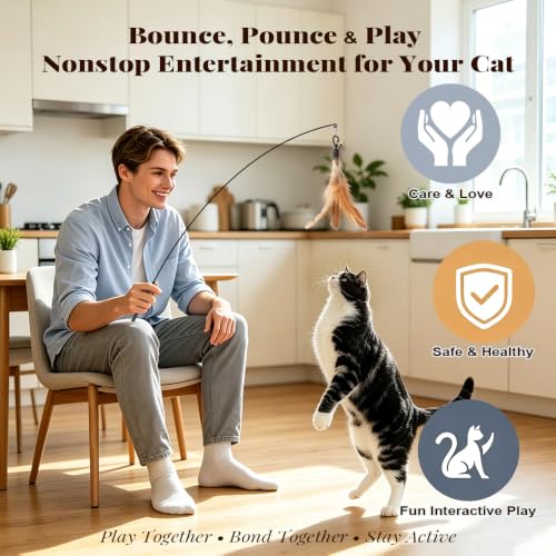 4-Pack Cat Toys for Indoor Cats & Kittens, Interactive Cat Toy - view 3