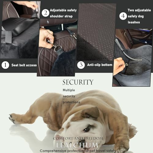 Dog Booster Car Seat for Small/Medium Dogs Up to 35lbs,Elevated Cushion Fits in Front/Back Seat,Fully Detachable and Washable,2 Storage Pockets & Dog Leashes,Easy to Install(Black,Medium) - view 3