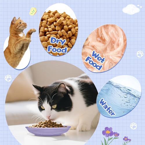 [8 Pack] Ceramic Cat Food Bowl, Colorful Cat Bowls Whisker-Friendly, 5.9" Shallow Wide Kitten Plates, Easy to Clean Indoor Feeding Dishes - view 3