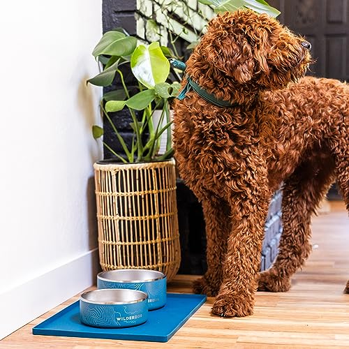 Silicone Pet Placemat Made with 100% Food-Grade Silicone Cone, BPA, PVC, and Phthalate-Free. Non-tocix, Dishwasher Safe Feeding mat for Bowls with Spill Catcher and Raised Mountain Logo - view 7