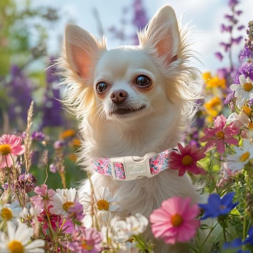 Floral Dog Collar, Cute Girl Dog Collars - Pastel Wildflowers Pattern Spring Summer Puppy Collar, Adjustable Female Dog Collars for Small Medium Large Dogs S - view 7