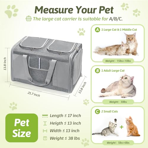 Large Cat Carrier for 2 Cats, 21.7X 13.8X 13.8in Pet Carrier for Cat and Dog Up to 38lbs, All-Sided Mesh Cat Carriers with Great Ventilation, Portable Soft Sided Pet Carriers for Traveling - view 2