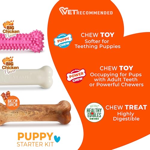 New Puppy Starter Kit, Puppy Teething Toys, 3 Pack, Pink - view 5
