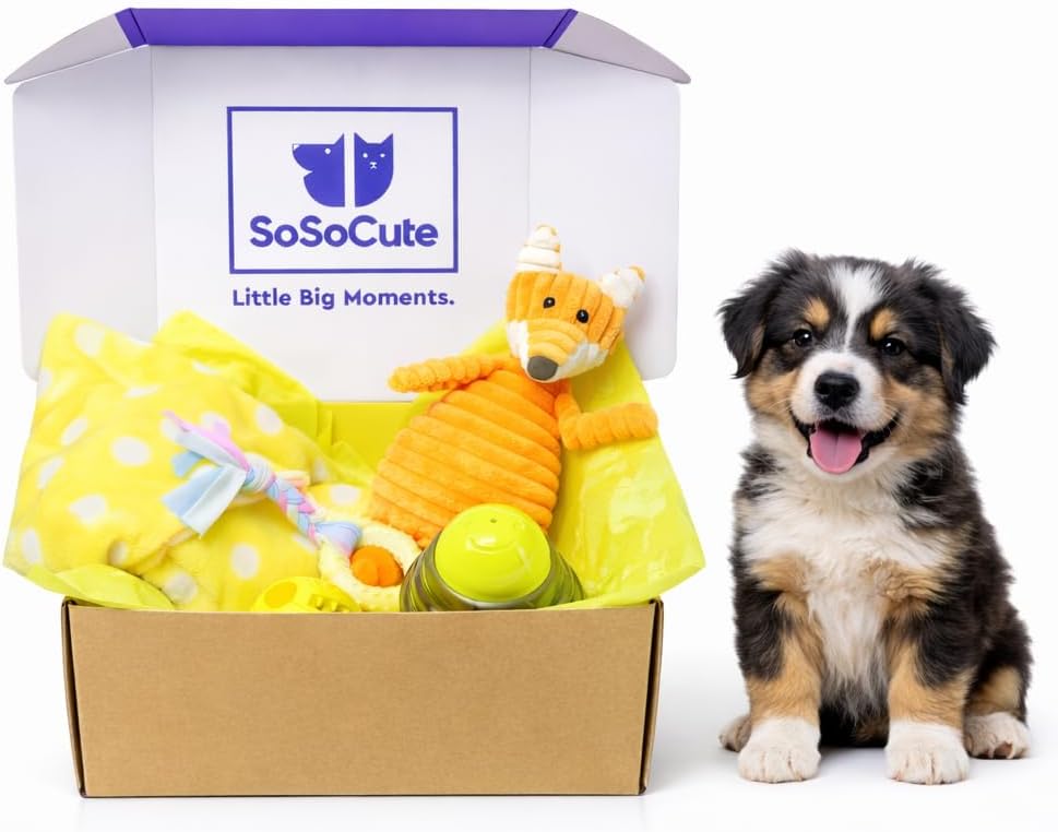 Puppy starter kit – 5pc dog toy gift set for small dogs – new puppy essentials gift box with blanket, squeaky plush, teething ring, treat ball & chew ball (yellow)