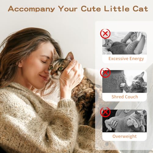 Cat Feather Wand Interactive Toy, 2 Feathers + 1 Wand with Bell - view 6