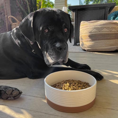 Ceramic Pet Bowl - Large Food/Water Dish for Large Dogs, Cats, Great Dane, Mastiff - 50oz or 8 Cups - Basic Bowls - Vanilla White - view 7