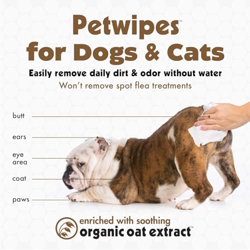 Pet Wipes for Dogs and Cats, Oatmeal, 100 Wipes (Large) for Dogs and Cats - Soothes Itchy Dry Skin and Cleans Ears, Face, Butt, Body and Eye Area - Idea for Home and Travel - view 3